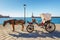 Horse carriage for transporting tourists in old port of Chania