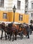 Horse carriage in Vienna - Austria