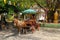 Horse carriage at Wat Sri Rong Muang in Lampang, Thailand.