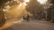 Horse carriages on common Asian dusty road and transport traffic on a street with cars, motorbikes a