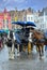 Horse carriages at Grote Markt in the center of Bruges