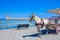 Horse carriages and lighthouse at the old harbor of Chania, Crete.