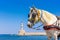 Horse carriages and lighthouse at the old harbor of Chania, Crete.