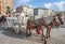 Horse carriages at main square in Krakow, Poland