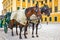 Horse carriages at main square of Schonbrunn Palace in Vienna