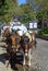 Horse carriages on street, Sozopol Bulgaria