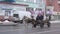 Horse carries people on a cart in the city, winter slow motion BOBRUISK, BELARUS - JANUARY 14, 2019