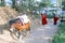 Horse carrying goods and two young monks at trail to Taktshang Goemba