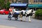 Horse and cart, Bourton on the Water.