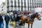 Horse cart dirver talking to the tourists  on the street of Brussels downtown, Belgium