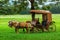 .The horse cart driver take a rest under the shade of a tree