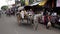 Horse & Cart in Indian street