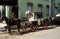 Horse cart, Myanmar