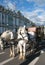 Horse cart near museum in Saint Petersburg