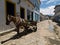 Horse and Cart, Paraty, Brazil.