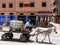 A horse and cart riding down the road in the Anti Atlas mountains, Morocco.