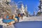 A horse and cart are in the snow-bound fir-trees