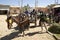 Horse and cart transportation, Ethiopia