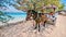 A horse and cart used as local transportation in the Gili Islands, Indonesia.