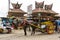 Horse cart wearing fashionable sunglasses. Horse rickshaw for city tour. asian horse carriage