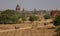 Horse carts with Buddhist temples in Bagan, Myanmar