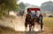 Horse carts carry tourists in Bagan, Myanmar