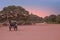 Horse carts on a dusty road in the temple area in Bagan Myanmar