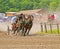 Horse and chariot racing