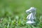 Horse chess pieces on grass filed