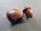 Horse Chestnut and acorn in soft sunlight on a textured surface