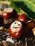 Horse chestnut autumn fall smiley