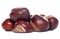 Horse-chestnut conkers