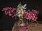 Horse chestnut flowers, ordinary and red, on the table in a glass vase on a black background.