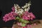 Horse chestnut flowers, ordinary and red, on the table in a glass vase on a black background.