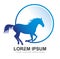 Horse Circle Logo Vector icon