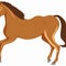 Horse Clipart