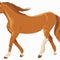 Horse Clipart