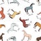 Horse color chart seamless pattern. Equine coat color with text. Equestrian scheme. Bay, sorrel, chestnut, grey, dun, dapple, type