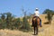 Horse and cowboy on a mountain trail