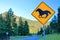 Horse Crossing Road Warning Sign, Nicola Valley in Morning Light, Interior British Columbia, Canada