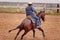 Horse Cutting Training In The Rain