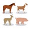 Horse deer goat and pork animal design