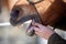 Horse Dentist at work look at horses teeth