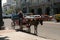 Horse drawn carriage Havana