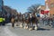 Horse drawn carriage in Saint Patrick\'s Day parade Boston, USA