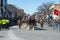 Horse drawn carriage in Saint Patrick`s Day parade Boston, USA