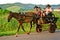 Horse-Drawn Carriage in Vinales Valley, Cuba