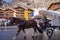 Horse-drawn carriages are an important means of transportation in Zermatt, Switzerland