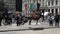 Horse-Drawn Carriages in New York City