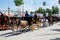 Horse drawn carriages at the Seville Fair.